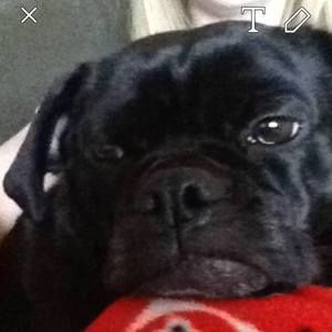 Meet your Posher, Tracey